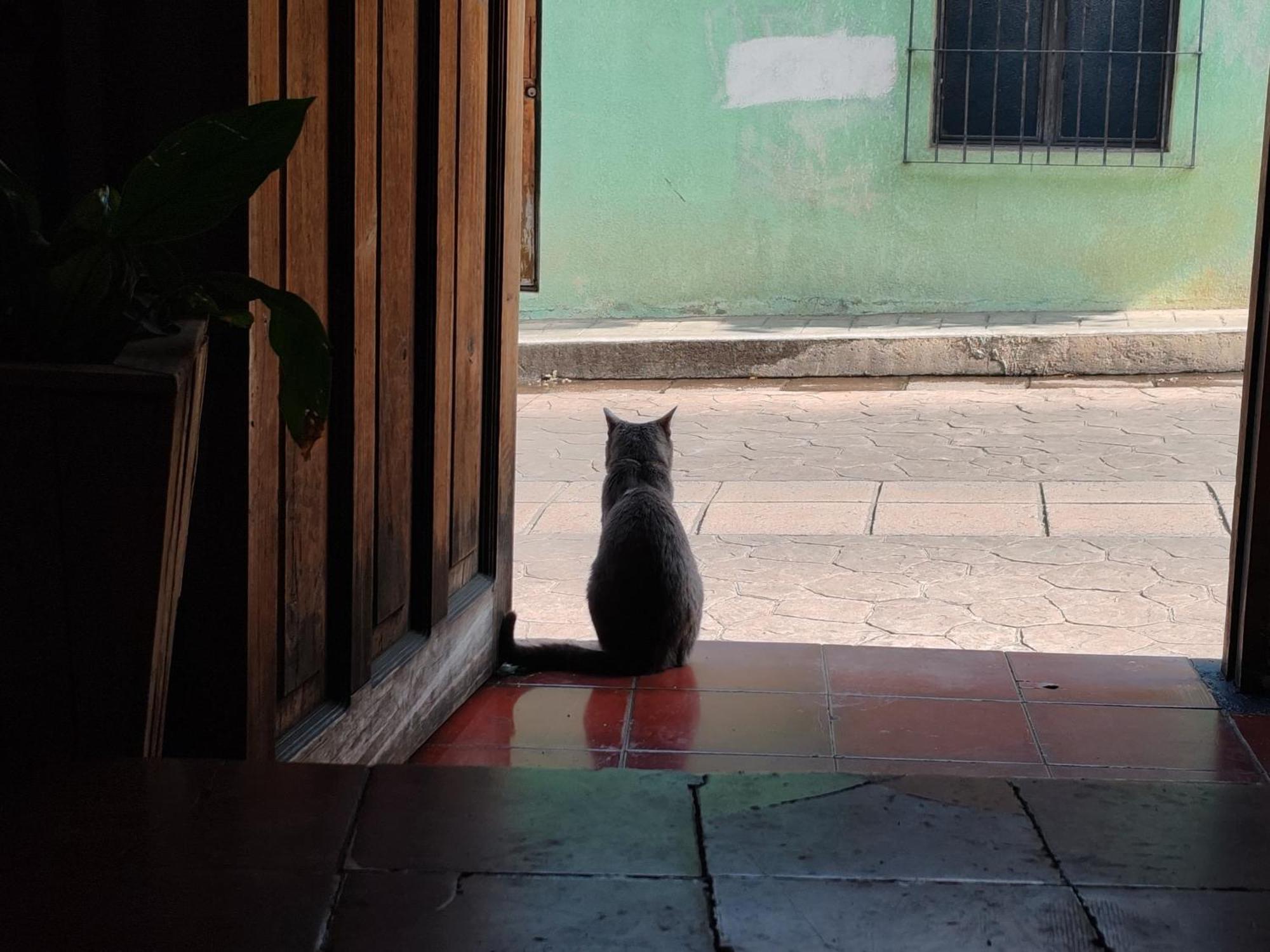Hostel Casa Satoshi San Cristóbal de Las Casas Zewnętrze zdjęcie